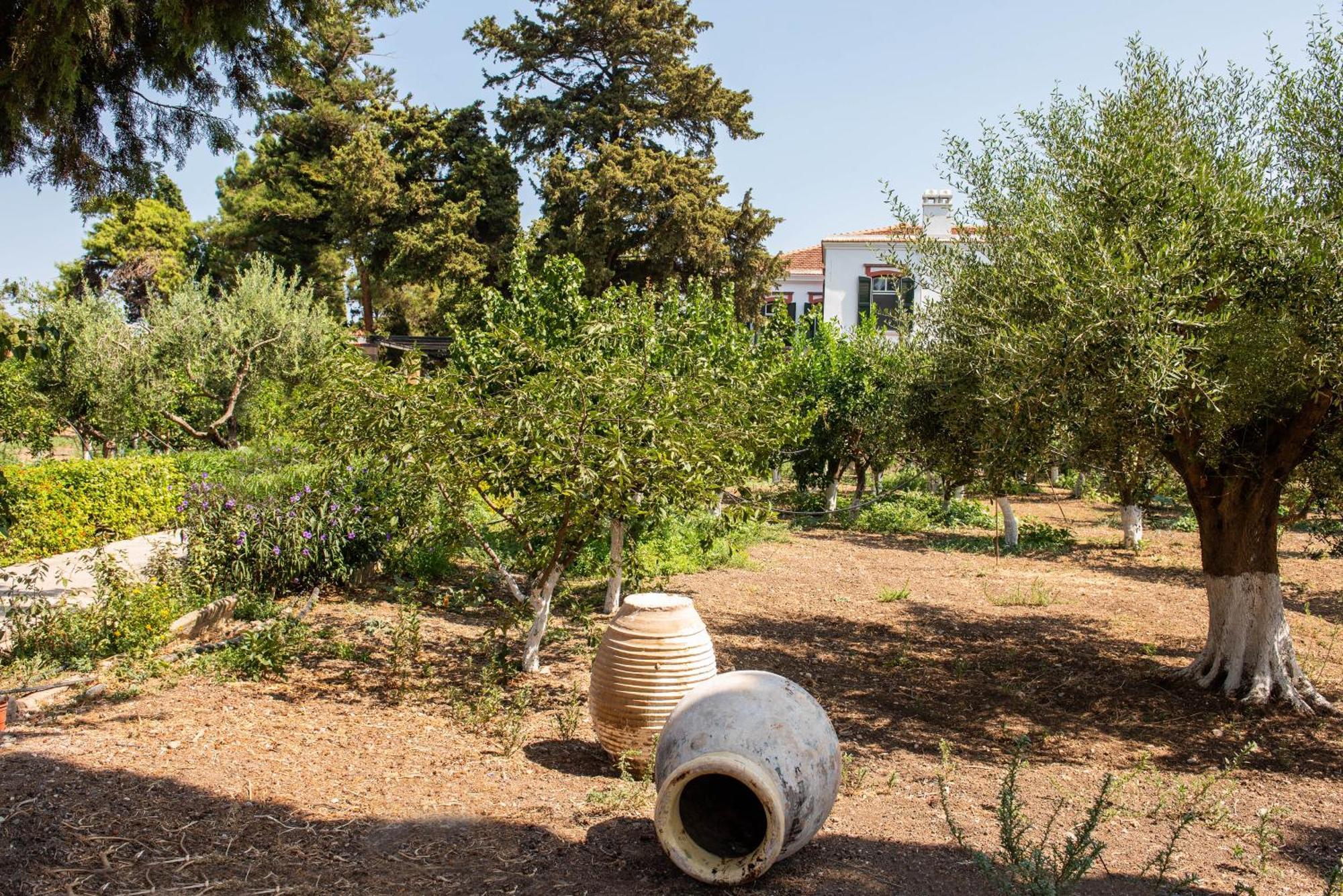 Calvocoressi Estate Chios Town Ngoại thất bức ảnh