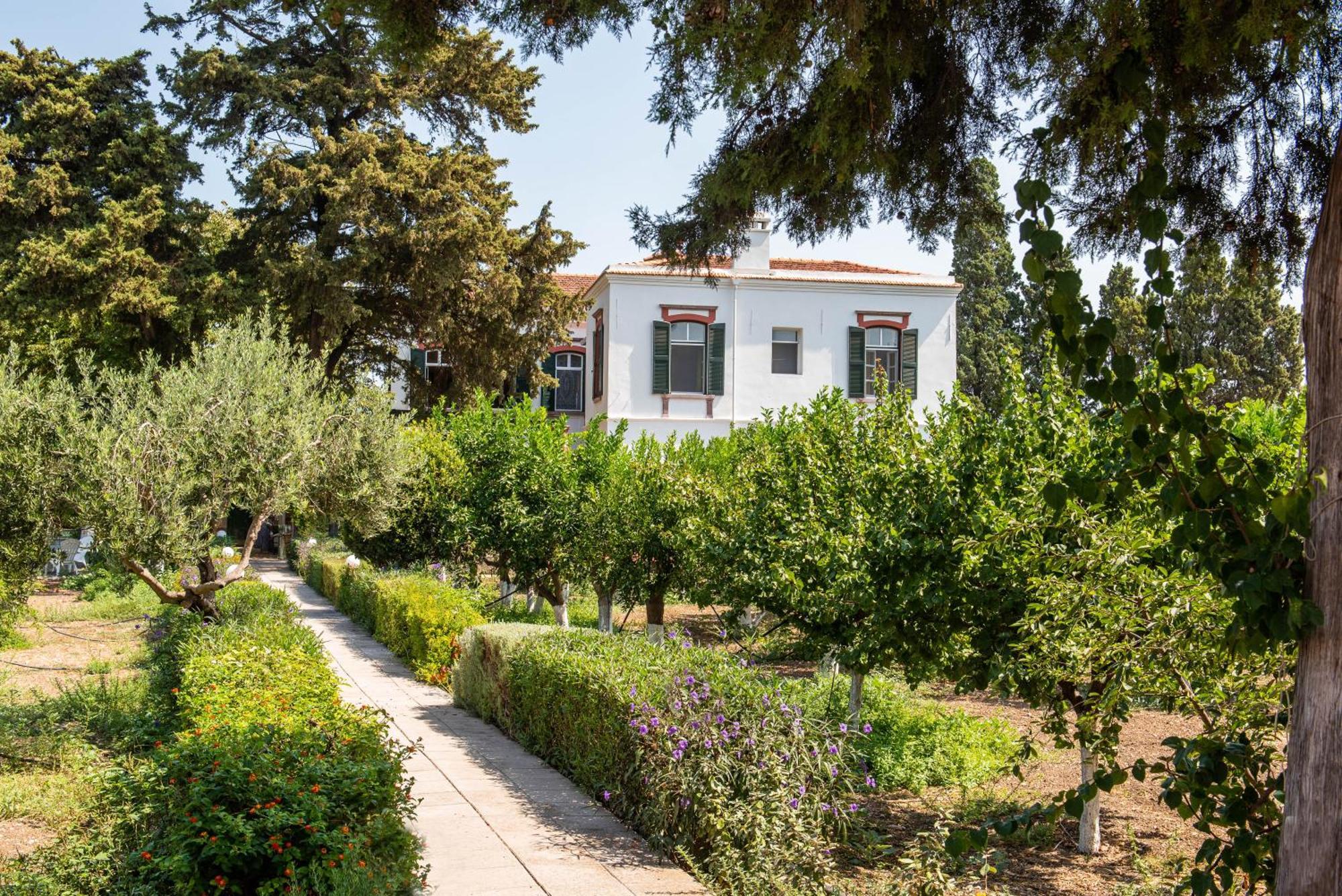 Calvocoressi Estate Chios Town Ngoại thất bức ảnh