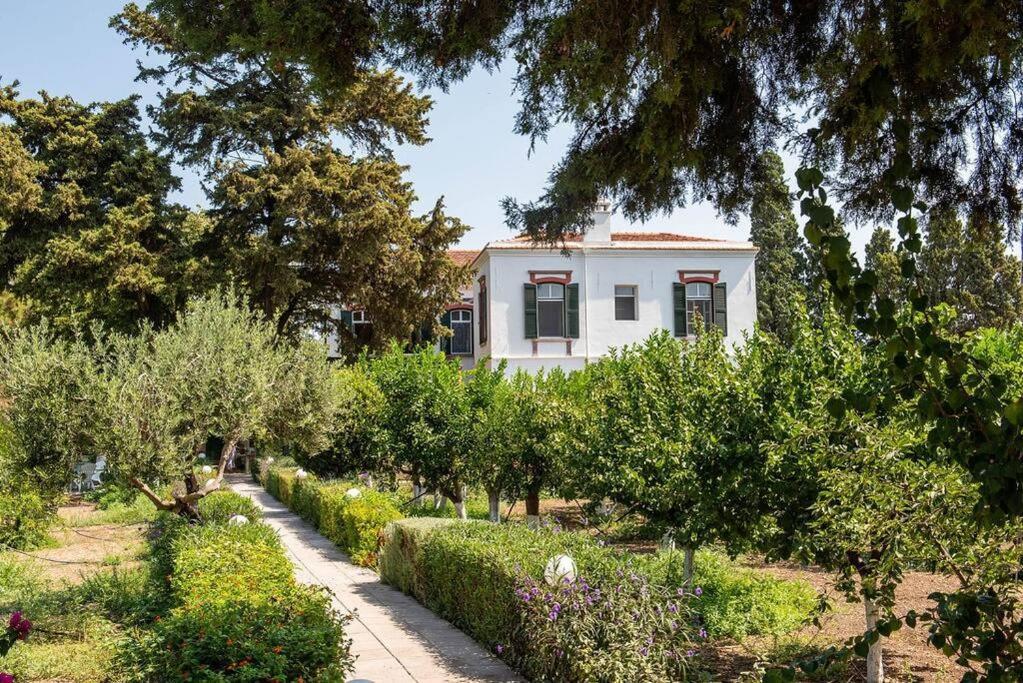 Calvocoressi Estate Chios Town Ngoại thất bức ảnh
